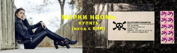 хмурый Белокуриха