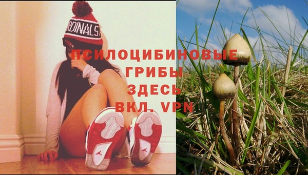 винт Белоозёрский