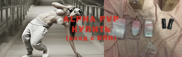 хмурый Белокуриха