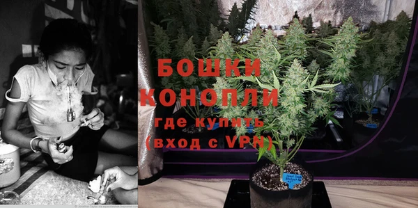 индика Богданович
