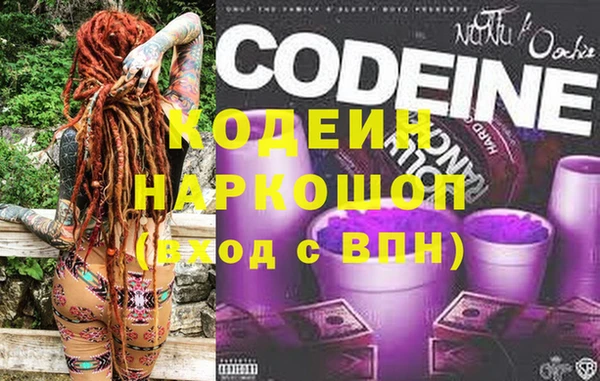 хмурый Белокуриха
