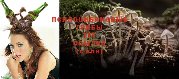 Альфа ПВП Богородицк